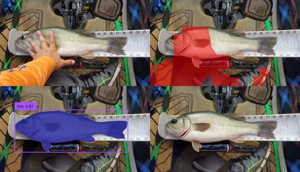 Synthetic Data: Fish Length & Weight Measurement