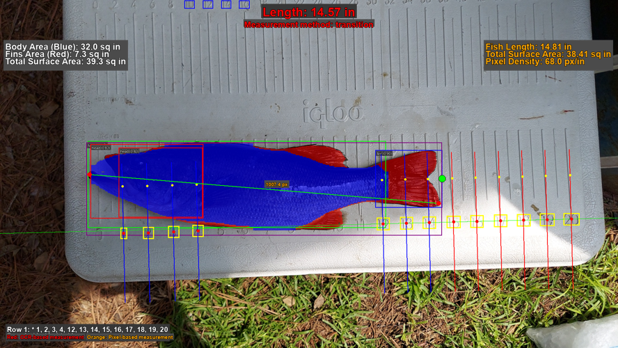 Aingler — Fair, Fast, Fishing Tournaments