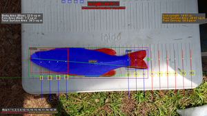 Aingler — Fair, Fast, Fishing Tournaments