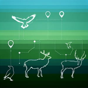 Integrating Sensor Data for Animal Behavior Analysis